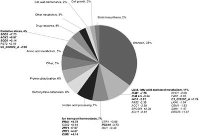 Bridging the Gap to Non-toxic Fungal Control: Lupinus-Derived Blad-Containing Oligomer as a Novel Candidate to Combat Human Pathogenic Fungi